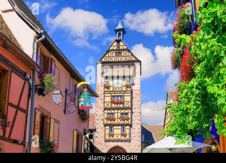 Riquewihr, Frankreich. Malerische Straße mit traditionellen Fachwerkhäusern an der elsässischen Weinstraße. Stockfoto