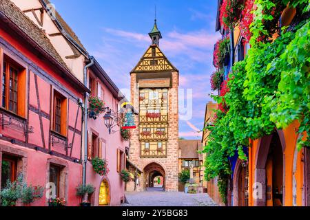 Riquewihr, Frankreich. Malerische Straße mit traditionellen Fachwerkhäusern an der elsässischen Weinstraße. Stockfoto