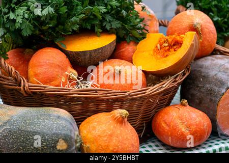 Viele Kürbisse liegen in Körben und auf einem Tisch zum Verkauf auf dem Markt. Stockfoto