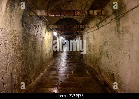 Plzen, Tschechische Republik - 17. August 2024: Pilsner Urquell Plzensky Prazdroj Brauerei Bierkeller Unterirdisch. Stockfoto