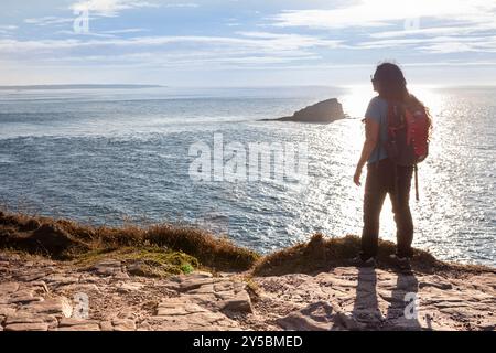 Cap Fréhel, Plévenon, Côtes-d'Armor, Frankreich Stockfoto