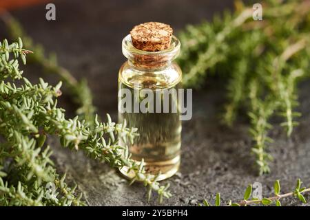 Ätherisches Thymianöl in einer durchsichtigen Glasflasche Stockfoto