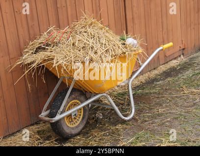 Eine Schubkarre voll vom Ausmusten eines Pferdestalls. Stockfoto