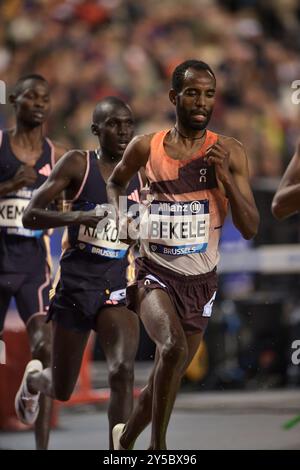 Telahun Haile Bekele aus Äthiopien trat in den 5000-m-Rennen der Männer beim Leichtathletikfinale der Diamond League im King Baudouin Stadion in Brüssel an Stockfoto