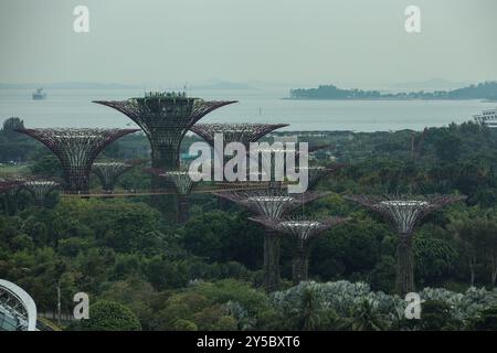 Singapur, Singapur. September 2024. Gärten an der Bucht Atmosphäre Luftaufnahmen während des Formel 1 Grand Prix 2024 von Singapur, 18. Runde der Formel 1 Weltmeisterschaft 2024 vom 20. Bis 22. September 2024 auf dem Marina Bay Circuit in Singapur, Singapur - Foto Xavi Bonilla/DPPI Credit: DPPI Media/Alamy Live News Stockfoto