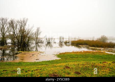 Landschaft an der Elbe bei Dömitz. Natur am Fluss an einem bewölkten Tag. Stockfoto