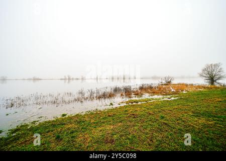 Landschaft an der Elbe bei Dömitz. Natur am Fluss an einem bewölkten Tag. Stockfoto