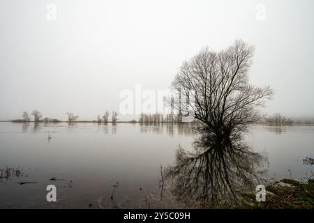 Landschaft an der Elbe bei Dömitz. Natur am Fluss an einem bewölkten Tag. Stockfoto