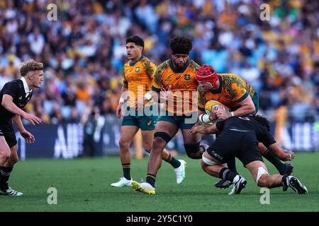 Accor Stadium, Sydney, NSW, Australien. September 2024. 2024 Rugby Championship, Bledisloe Cup, Australien gegen Neuseeland; Harry Wilson aus Australien wird von Tyrel Lomax aus Neuseeland angegriffen Credit: Action Plus Sports/Alamy Live News Stockfoto