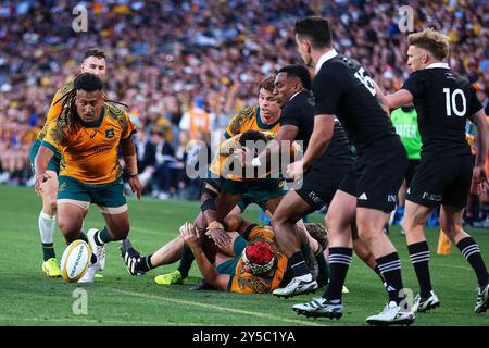 Accor Stadium, Sydney, NSW, Australien. September 2024. 2024 Rugby Championship, Bledisloe Cup, Australien gegen Neuseeland; Brandon Paenga-Amosa aus Australien beobachtet den losen Ball Credit: Action Plus Sports/Alamy Live News Stockfoto