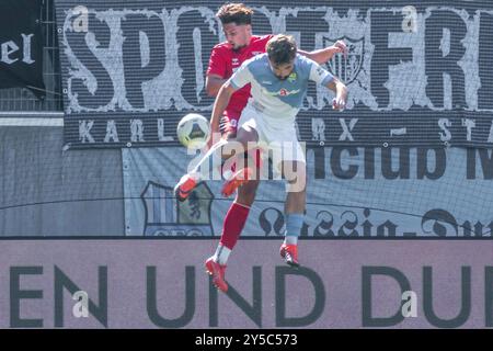 Chemnitz, Deutschland 21. September 2024: Regionalliga Nordost - 2024/2025 - Chemnitzer FC gegen Hertha Zehlendorf im Bild: v. li. im Zweikampf Gabriel Figurski Vieira (Zehlendorf) und Nils Lihsek (Chemnitz) Stockfoto