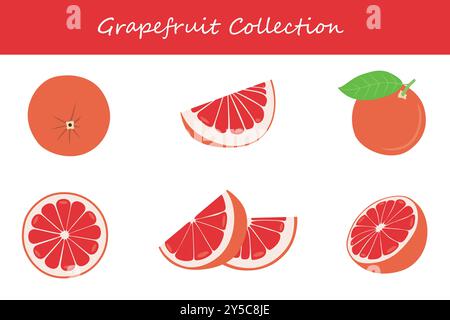 Grapefruitsammlung in verschiedenen Posen. Vektorabbildung. Stock Vektor