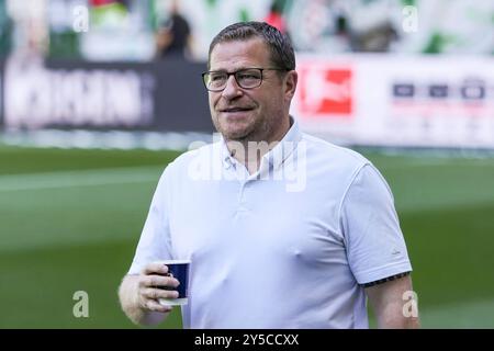 Bremen, Deutschland. September 2024. v.li.: Max Eberl (Sportvorstand, FC Bayern München) Portrait, Nahaufnahme, Einzelfoto, Einzelbild, 21.09.2024, Bremen (Deutschland), Fussball, Bundesliga, SV Werder Bremen - FC Bayern München Credit: dpa/Alamy Live News Stockfoto