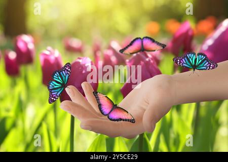 Frau, die schöne Schmetterlinge im Garten hält, an sonnigem Tag, Nahaufnahme Stockfoto