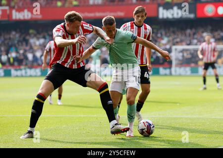 Harry Souttar (links) von Sheffield United und Jerry Yates von Derby County kämpfen um den Ball während des Sky Bet Championship Matches in der Bramall Lane, Sheffield. Bilddatum: Samstag, 21. September 2024. Stockfoto