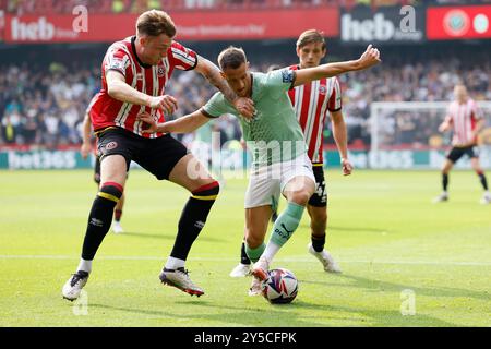 Harry Souttar (links) von Sheffield United und Jerry Yates von Derby County kämpfen um den Ball während des Sky Bet Championship Matches in der Bramall Lane, Sheffield. Bilddatum: Samstag, 21. September 2024. Stockfoto