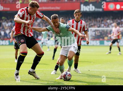 Harry Souttar (links) von Sheffield United und Jerry Yates von Derby County kämpfen um den Ball während des Sky Bet Championship Matches in der Bramall Lane, Sheffield. Bilddatum: Samstag, 21. September 2024. Stockfoto