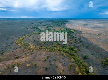 Bäume wachsen in einer Kurve des Cimarron River im Cimarron National Grassland im Westen von Kansas, USA Stockfoto