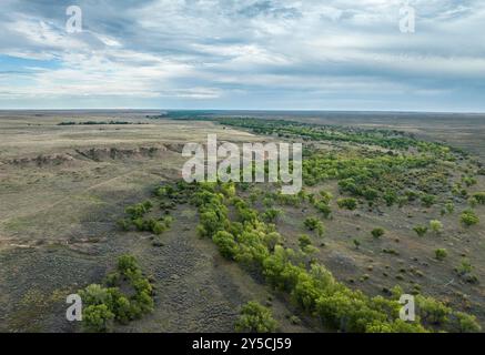 Bäume wachsen in einer Kurve des Cimarron River im Cimarron National Grassland im Westen von Kansas, USA Stockfoto