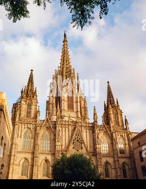 Kathedrale von Barcelona, Barri Ghotic Viertel, Katalonien, Spanien Stockfoto