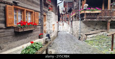 Die schönsten Schweizer Dörfer - hübsches Griementz mit traditionellen Holzhäusern und Blumenstraßen. Beliebte Touristenattraktion im Walliser Kanton SWI Stockfoto