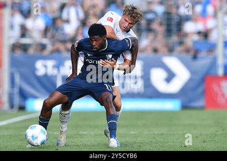 Bochum, Deutschland. September 2024. Fußball 1. Bundesliga 4. Spieltag VfL Bochum - Holstein Kiel am 21.09.2024 im Vonovia Ruhrstadion in Bochum Moritz-Broni Kwarteng ( Bochum ), vorne - Jann-Fiete Arp ( Kiel ), hinten DFL-Vorschriften verbieten jede Verwendung von Fotografien als Bildsequenzen und/oder Quasi-Video. Foto: Revierfoto Credit: ddp Media GmbH/Alamy Live News Stockfoto