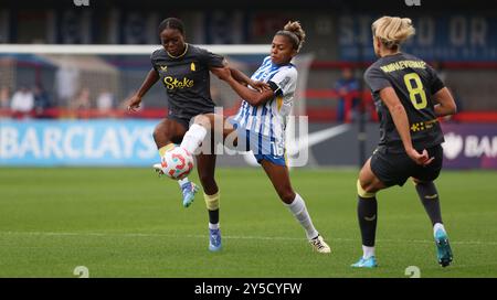 Crawley, Großbritannien. September 2024. Jorelyn Carabali von Brighton fordert Toni Payne von Everton während des Spiels der Barclays Women's Super League zwischen Brighton & Hove Albion und Everton im Broadfield Stadium heraus. Quelle: Telephoto Images/Alamy Live News Stockfoto