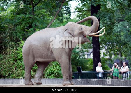 Berlin, Deutschland, 21. Juli 2009, ein asiatischer Elefant trifft im Berliner Zoo auf Zuschauer und zeigt sein spielerisches Verhalten und seine charmante Präsenz. Stockfoto