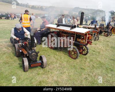 Motoren von Großmodellen auf der Berwick St John Country Fayre 2024 Stockfoto