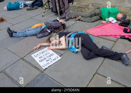 Bath, UK. September 2024. Demonstranten werden vor der Abtei von Bath abgebildet, die einen „Sterben in“ durchs Zentrum von Bath machen, bevor sie an einem protestmarsch teilnehmen. Der Protest "Kampf gegen den Klimawandel - Krieg nicht anheizen" wurde von der Extinction Rebellion Bath und der Bath-Gruppe "Stop war" organisiert und fand statt, um die Tatsache zu unterstreichen, dass Großbritannien sieben Mal so viel für Waffen ausgibt wie für den Klimawandel. Quelle: Lynchpics/Alamy Live News Stockfoto