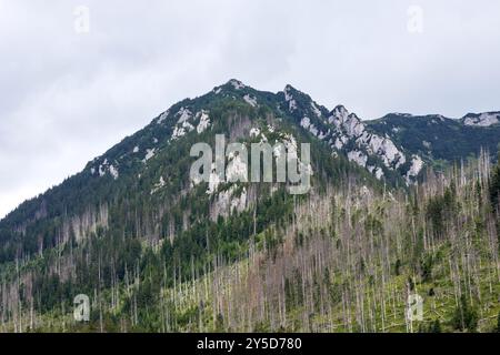 Blick vom Gipfel des Berges an einem bewölkten Tag Stockfoto