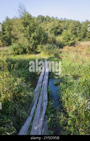 Eine rustikale Holzstege erstreckt sich über einen kleinen Bach im Herzen einer grünen Wiese, umgeben von hohen Gras und Bäumen, die einen ruhigen Klaps bieten Stockfoto
