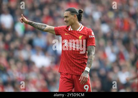 Liverpool, Großbritannien. September 2024. Darwin Nunez aus Liverpool. Premier League Spiel Liverpool gegen Bournemouth in Anfield in Liverpool am Samstag, den 21. September 2024. Dieses Bild darf nur für redaktionelle Zwecke verwendet werden. Nur redaktionelle Verwendung. bild von Chris Stading/Andrew Orchard Sportfotografie/Alamy Live News Credit: Andrew Orchard Sportfotografie/Alamy Live News Stockfoto