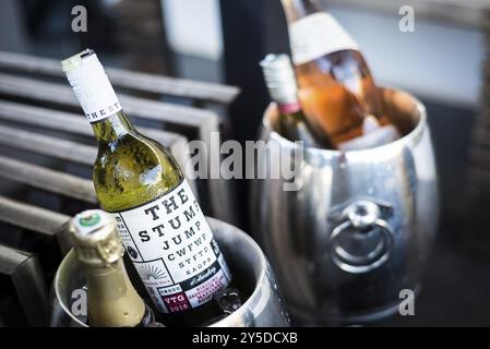 Gemischte Flaschen mit Gourmet-Wein im Eiskühler an der Bar Stockfoto