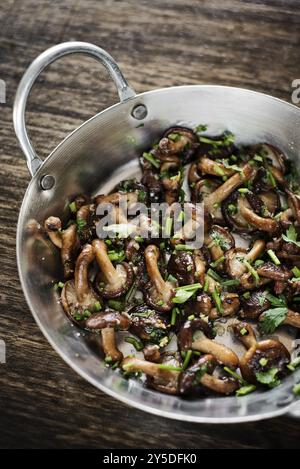 Gebratene Shiitake-Pilze in Knoblauchkraut und Olivenöl-Tapas Stockfoto