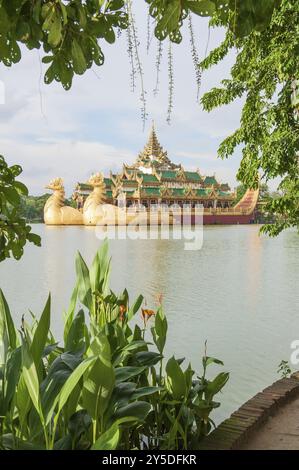 Königlicher Lastkahn im yangon myanmar Park Stockfoto