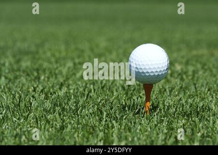 Ein weißer Golfball auf einem Orange T-Stück Stockfoto