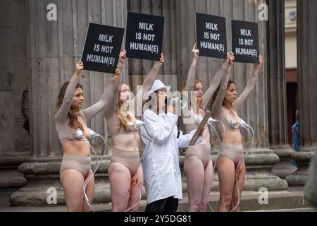 Glasgow, Schottland, Großbritannien. September 2024. „Dairy is not human(e)“-Demonstration, um die Vorstellung, dass Tiere Waren sind, in Frage zu stellen. Performancekunst, in der Frauen von Maschinen „gemolken“ werden und den Zuschauern erklärt wird, dass sie jedes Jahr künstlich befruchtet werden, um den Milchbedarf zu decken. Gutschrift R.. Gass/Alamy Live News Stockfoto