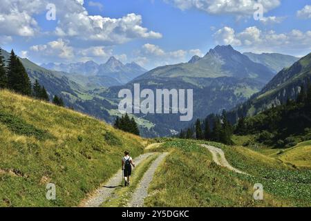 Wandern am Schadonapass im Bregenzerwald, Vorarlberg, Österreich, Blick auf den Allgäuer Hauptkamm mit Biberkopf und Warther Horn, Wandern am S Stockfoto