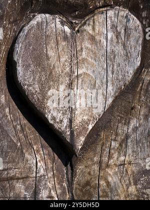 Herz in einer gemaserten Holztür Stockfoto