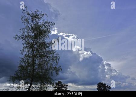 Gewitter kommt, Gewitterwolken, Gewitter kommt, Gewitterwolken Stockfoto