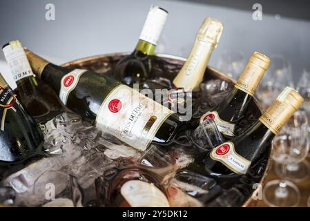 Gemischte Flaschen mit Gourmet-Wein im Eiskühler an der Bar Stockfoto