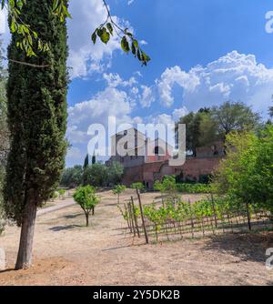 Blick auf die Kirche San Bonaventura al Palatino von der Vigna Barberini (Weinberg Barberini) auf dem Palatin in Rom, Italien. Stockfoto