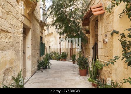 Kopfsteinpflasterstraße in der Altstadt von valetta auf malta Stockfoto