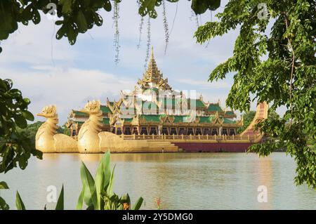 Königlicher Lastkahn im yangon myanmar Park Stockfoto