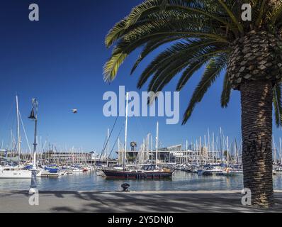 Blick auf den städtischen Yachthafen und Fußgängerpromenade im Port vell-Viertel von barcelona spanien Stockfoto