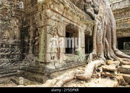 TA Prohm Tempelkomplex in der Nähe von Angkor Wat in Kambodscha Stockfoto