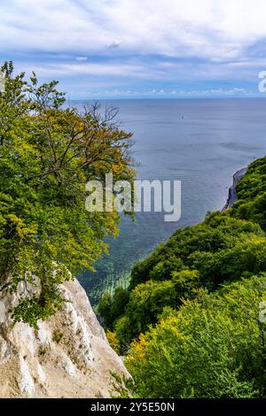 Kreidefelsen von Rügen, Felsformation Königsstuhl, im Nationalpark Jasmund, Blick auf die Ostsee und die Kreidefelsküste, zwischen Sassnitz A Stockfoto