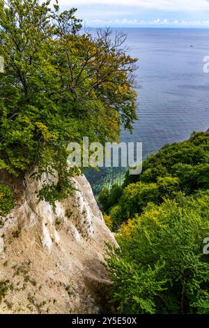 Kreidefelsen von Rügen, Felsformation Königsstuhl, im Nationalpark Jasmund, Blick auf die Ostsee und die Kreidefelsküste, zwischen Sassnitz A Stockfoto