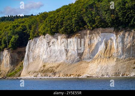 Die Kreidefelsen von Rügen, Klippen der Stubbenkammer, im Nationalpark Jasmund, Wanderer am Strand, die Kreidefelsküste, zwischen Sassnitz an Stockfoto
